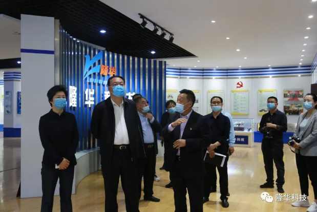 洛阳市副市长李保兴等一行向导来pg赏金女王模拟器在线试玩公司调研指导事情