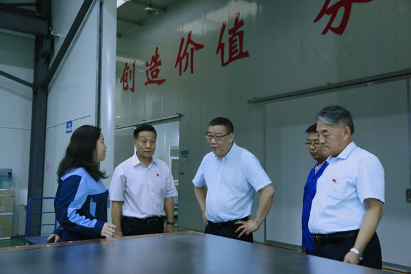 河南证监局王广幼局长一行莅临pg赏金女王模拟器在线试玩集团调研资源市场事情