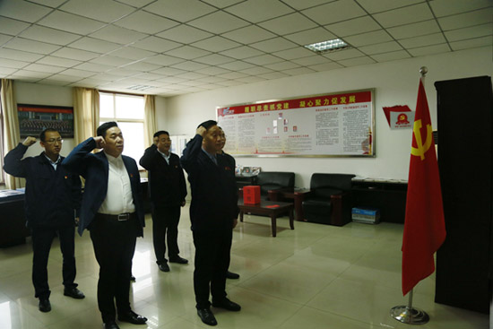 洛阳pg赏金女王模拟器在线试玩传热节能公司党委及下属党支部换届选举顺遂完成